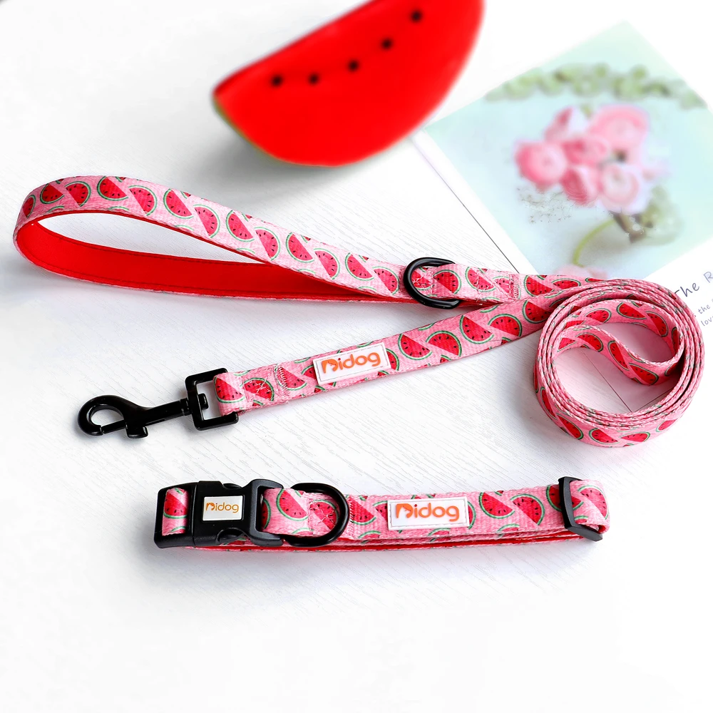 Print Dog Collar and Leash Set Nylon Cat Collars Adjustable Pet Necklace Lead For Small Medium Dogs Chihuahua Dog Accessories