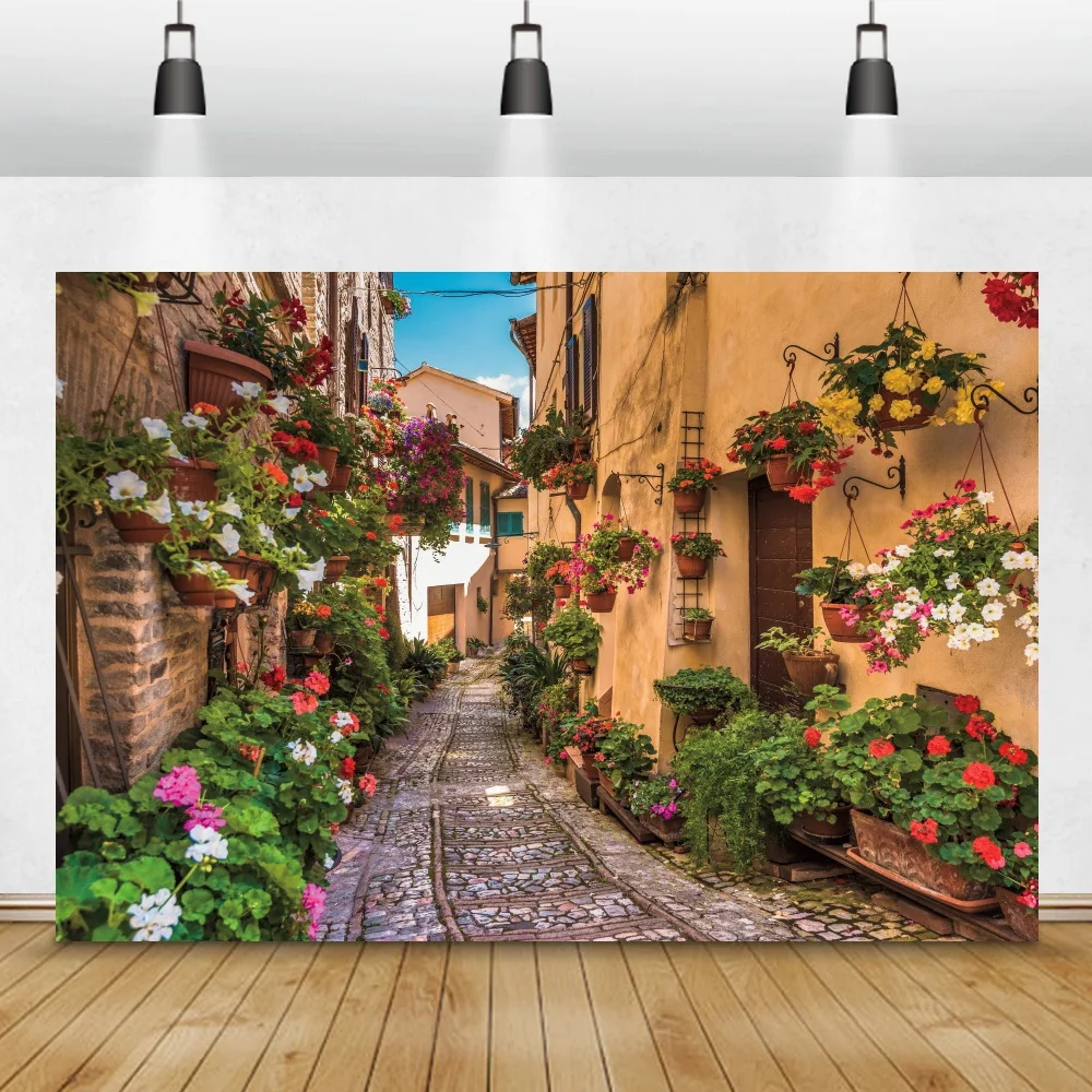 

Laeacco Photography Backdrop Old Town Potted Flowers Alley Passage Scenic Photographic Background Stone Road For Photo Studio