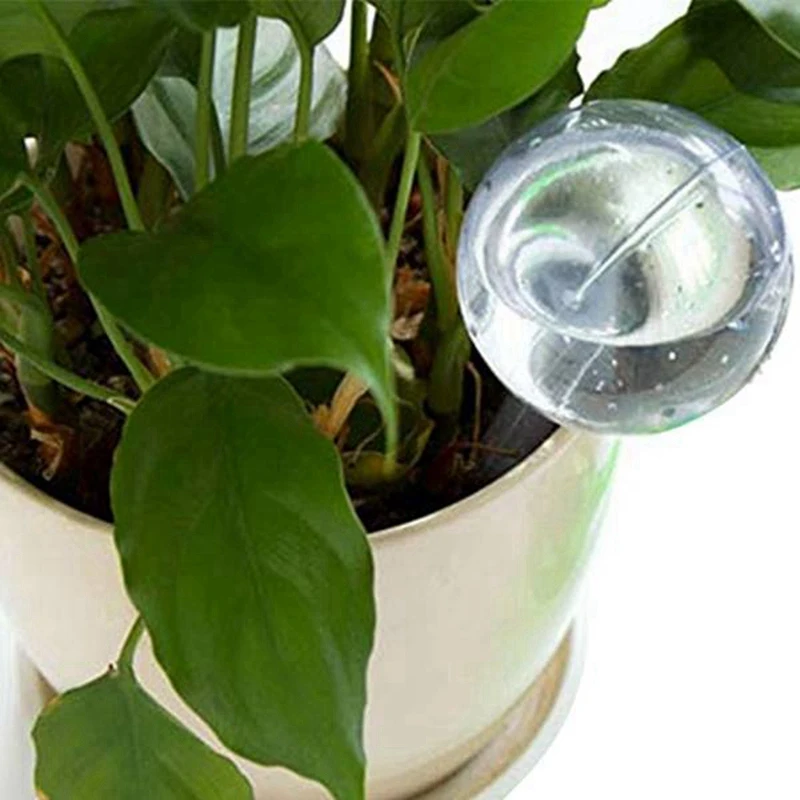 20 Pcs 40 Pcs lampadine per irrigazione per piante trasparenti globi autoirriganti sfere automatiche per acqua dispositivo per le vacanze lampadine per piante da appartamento