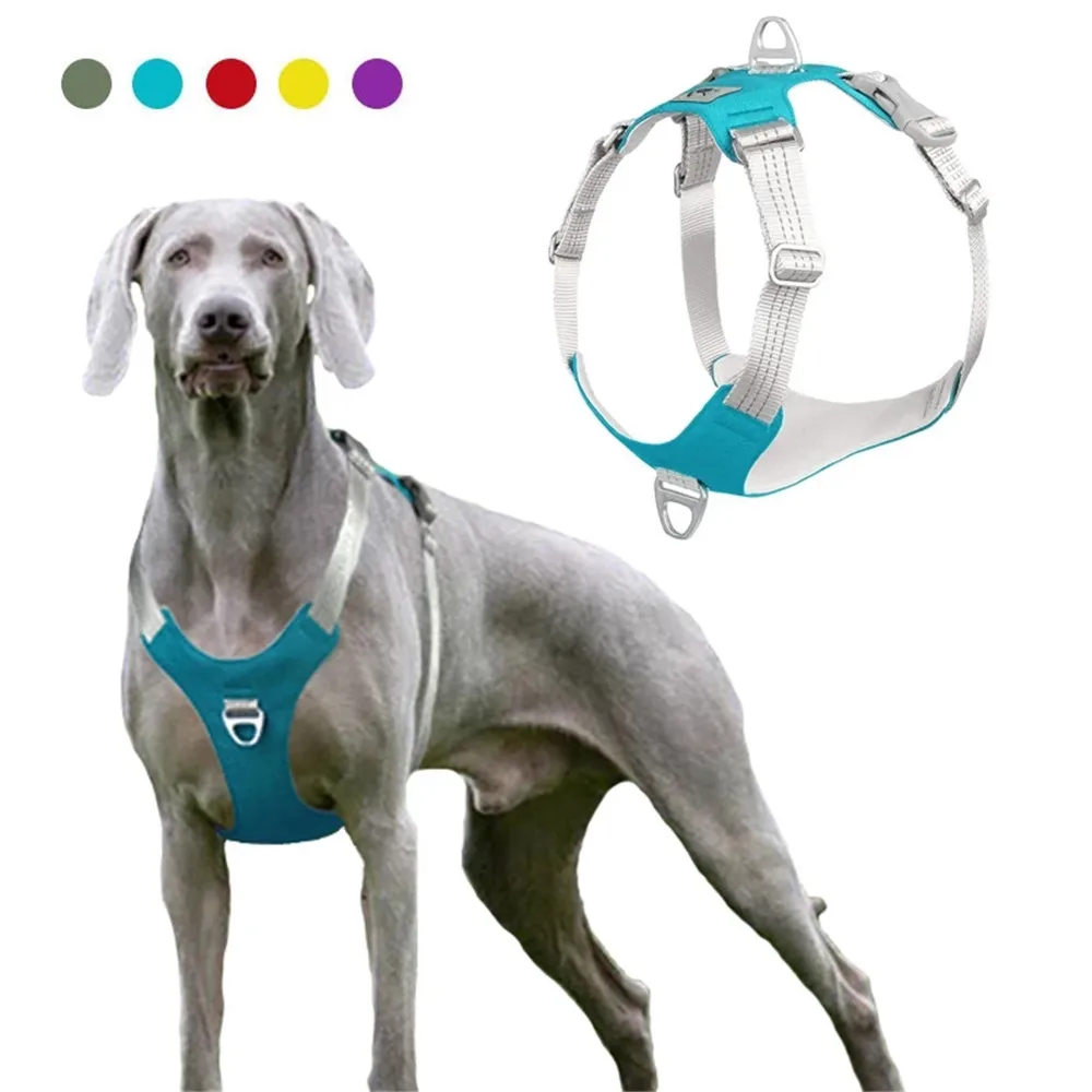 

Miflame Reflective Dog Harness Dachshund Greyhound Collar Adjustable Large Dog Collar For Pet Accessories Pet Collar Vest-style