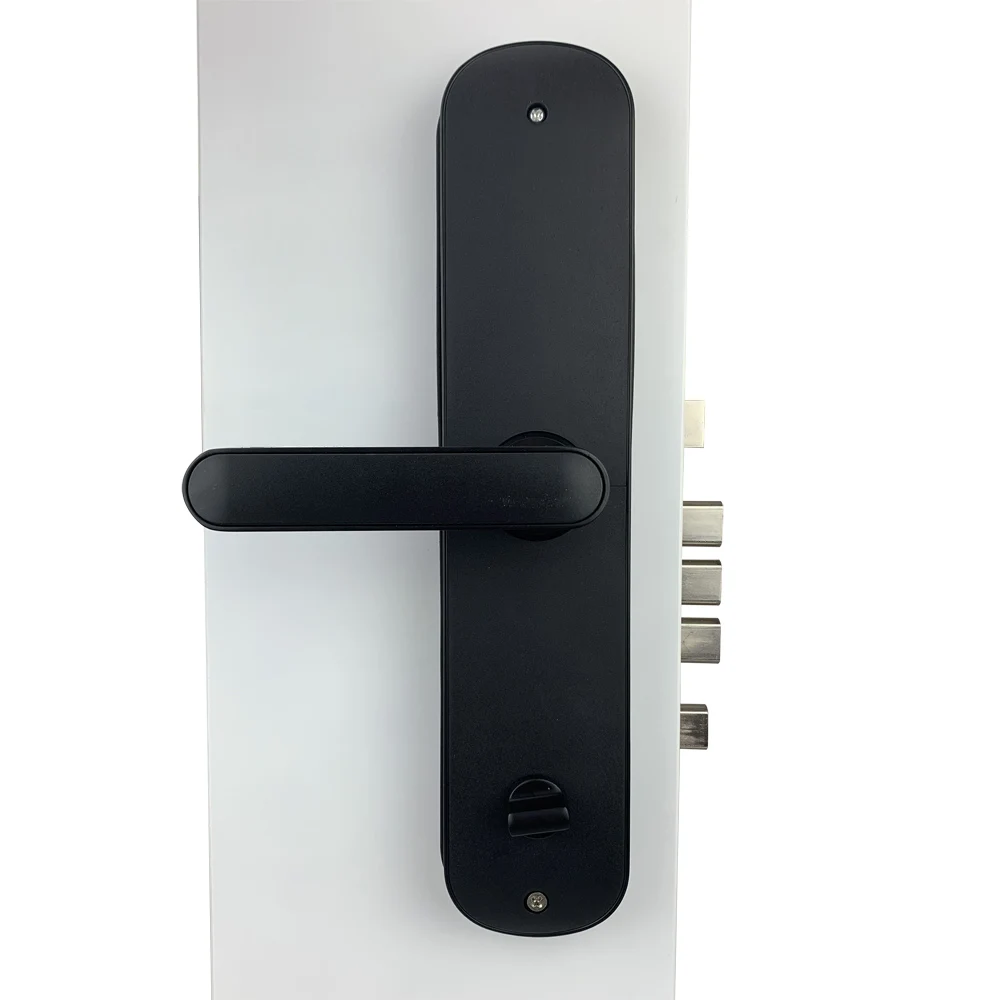 Electronic Security Smart Bluetooth TTLOCK App WiFi Digital Code IC Card Biometric Fingerprint Door Lock for Home