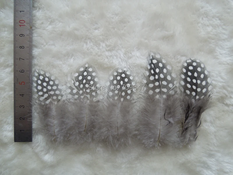 200Pcs/Lot! 5-7cm Small Guinea Fowl Feathers Real Feathers Spotted Loose Natural Feathers For Crafts With White Polka Dots