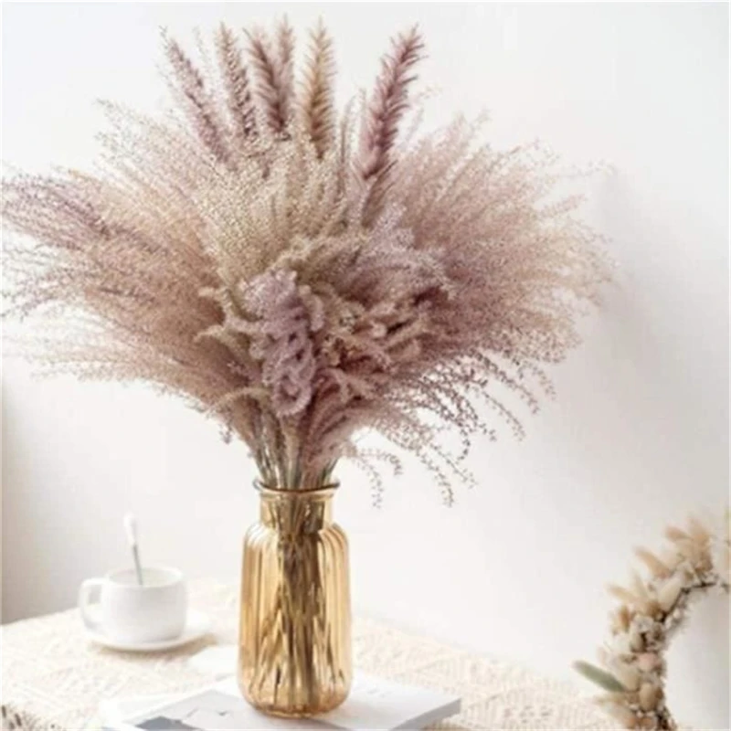 

Home 30pcs Decoration Raw Color Reed Dried Plants Pampas Grass Bunch Phragmites Bulrush DRY Flowers Communis Wedding Dekoration