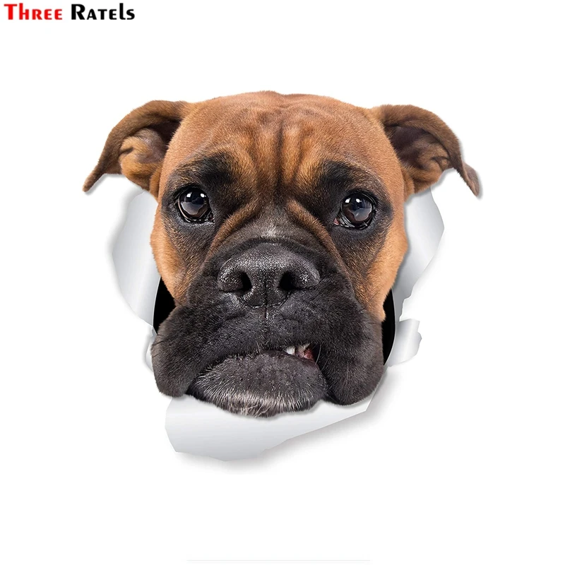 Three Ratels 1065 Grumpy Boxer Dog Wall Decals Toilet Sticker 3D Dog Car Window And Bumper Sticker Decal