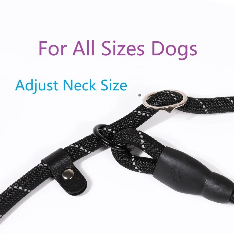 Adjustable Nylon Dog Collar Leash P Chain Leash For Dogs Small Medium Large Dog Universal Pitpull Cheap Strong Collar Leashes