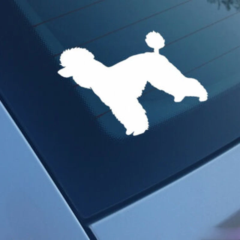 Pudel samochód naklejka naklejka zderzak okno Vinyl Funny Laptop nowość Van Dog naklejka wybierz rozmiar kolor