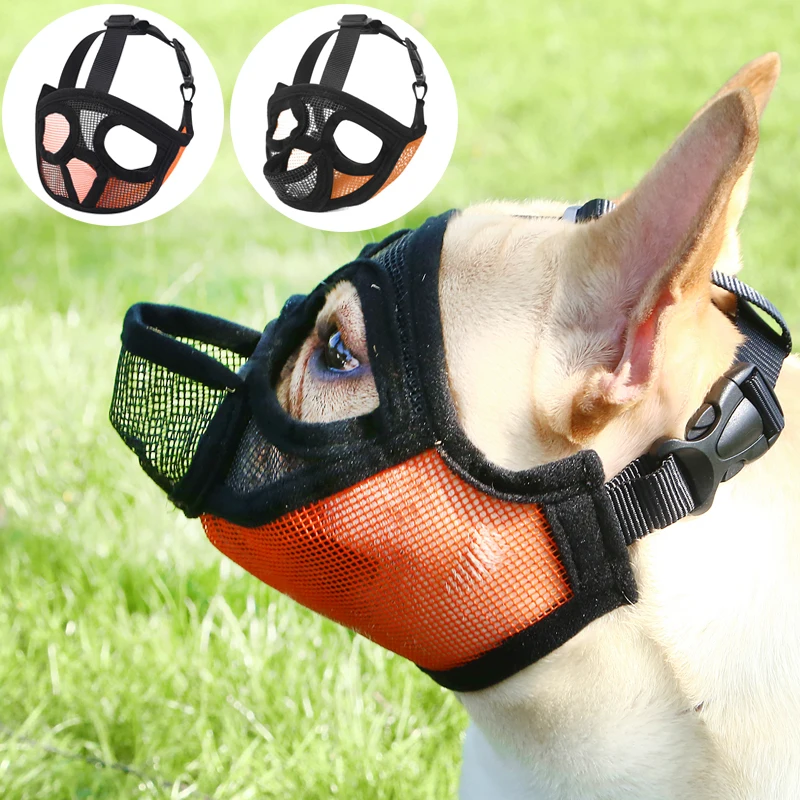 #31 Latest Dog Muzzles Offers
