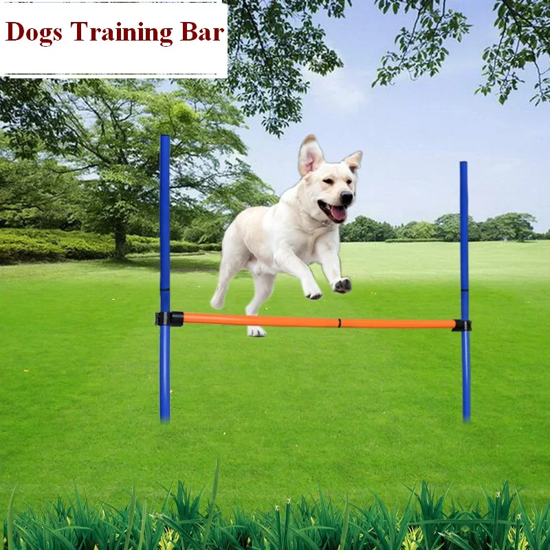 Pet Dog Agility Equipment Set 3