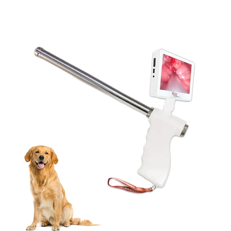 In Stock Wholesale Veterinary Artificial Insemination Equipment Portable Visual Artificial Insemination Gun for Dog