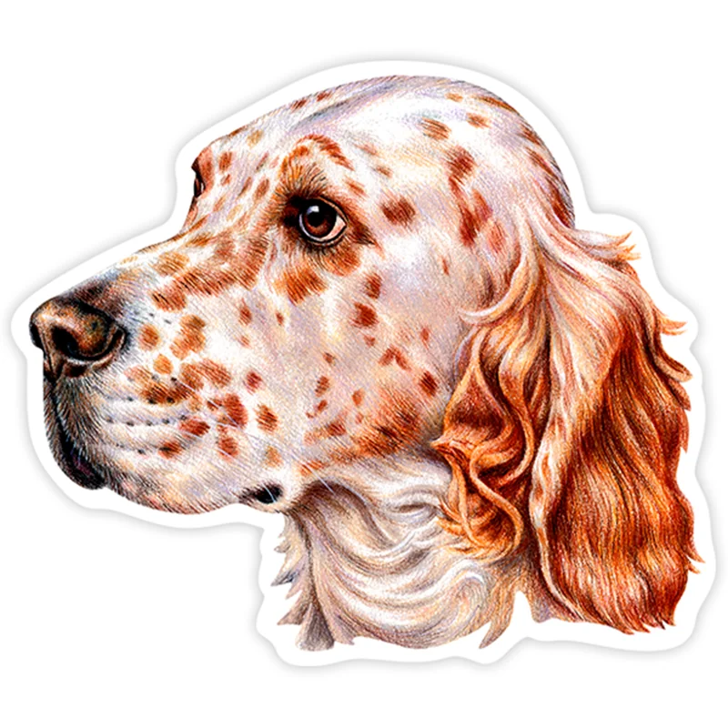 S40213 # różne rozmiary naklejka z PVC English Setter naklejka na samochód wodoodporna na zderzaku tylne okno Laptop lodówka toaleta