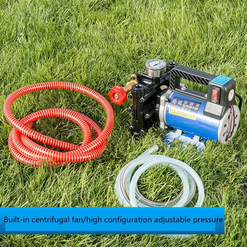 Agricultural Electric Fruit Tree Sprayer 12V 48V 60V 220V High Pressure Double Cylinder Plunger Medicine Pump