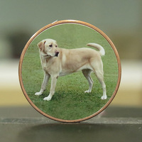 Golden Retriver Geocoin B71