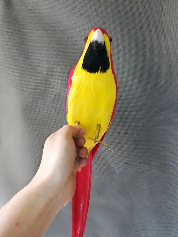 about 42cm lifelike parrot bird model foam&feathers yellow&red parrot handicraft home garden decoration gift p2222