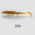 NW209