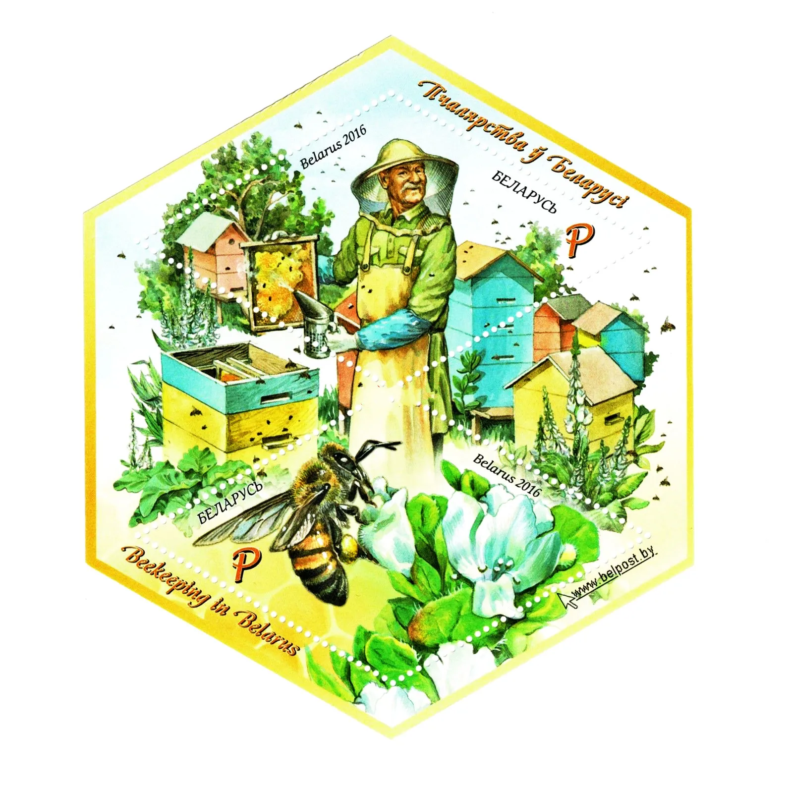 2016,Belarus Postage Stamp Collections,Bee Farming,Souvenir Sheet,Special shape Stamps,Good Condition Collection,High Quaility