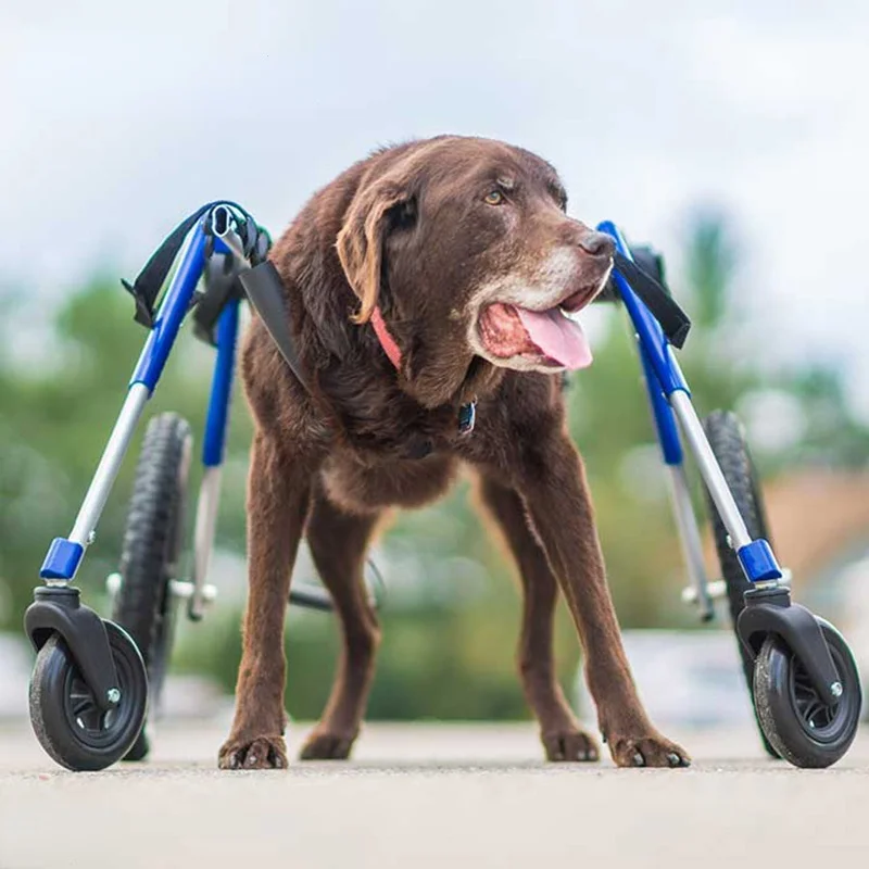 Dog Wheelchair Four-Wheel Paralysis Disability Broken Leg Front and Rear Limbs Scooter Folding High Rehabilitation Assistance