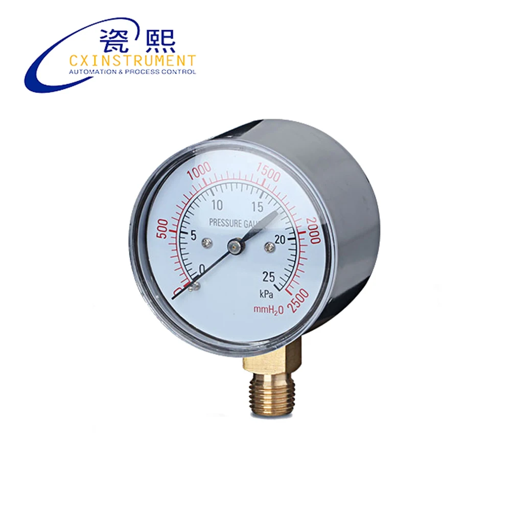 

The Capsule Pressure Gauge With 0~60 Kpa Pressure Gauge 60mm Diameter Radial Install Stainless steel Air Pressure Gauge