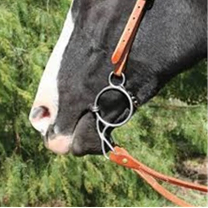 12.5cm Gag Bit Stainless Steel Horse Bit Jointed Mouth Horse Equipment