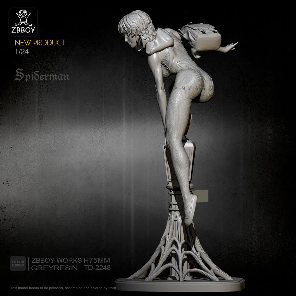 1/24 Resin Model Kits  Figure Self-assembled TD-2248