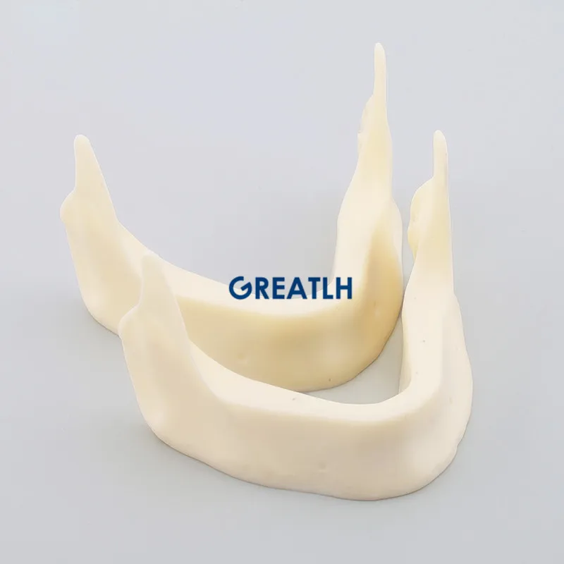 

Dental Implant Practise Teeth Model M2025 Jaw Lower bone like Dental Teeth implant Pratise Model