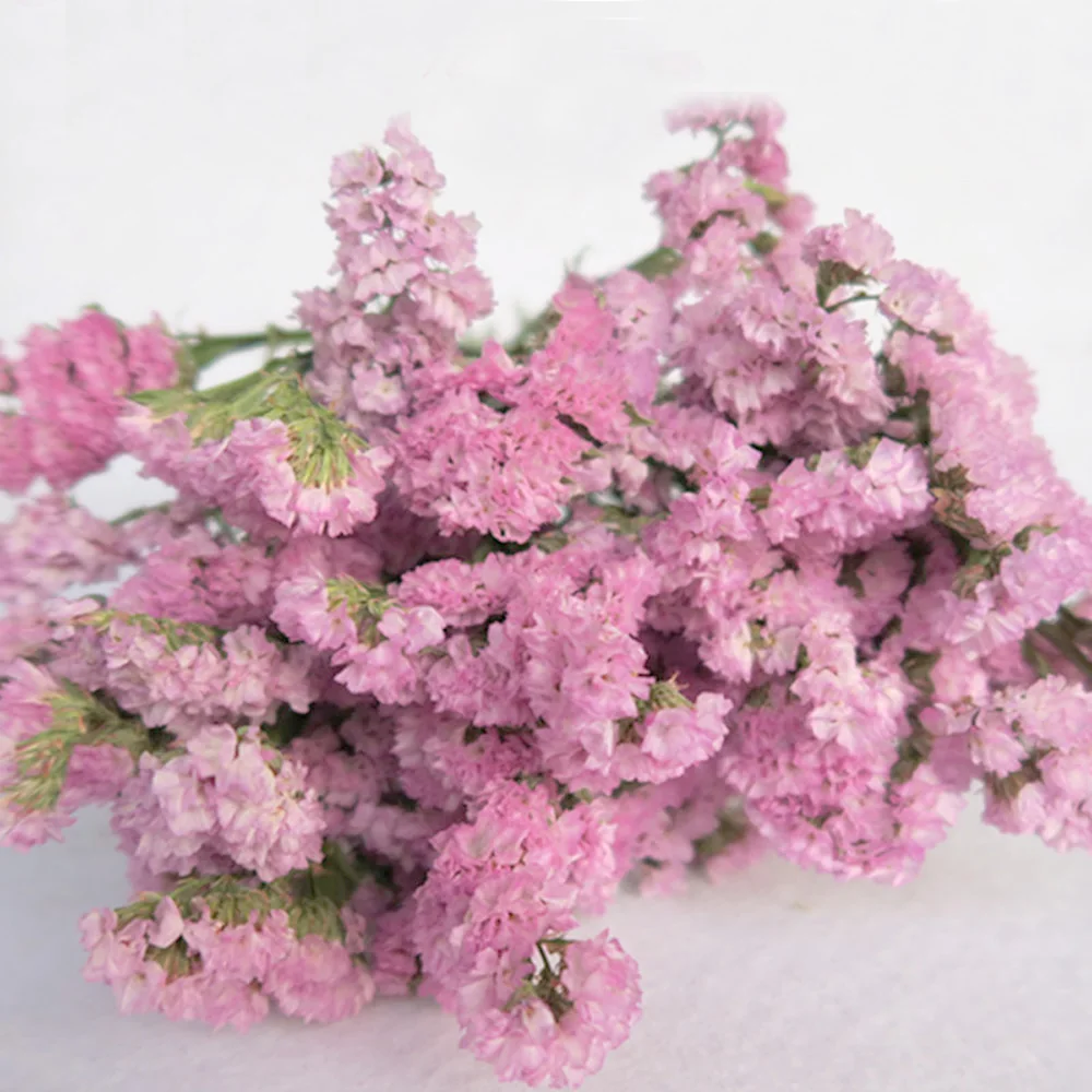 Pink color dried natural flower bouquets natural dried Myosotis Sylvatica bouquets&Forget me not Flower bouquet