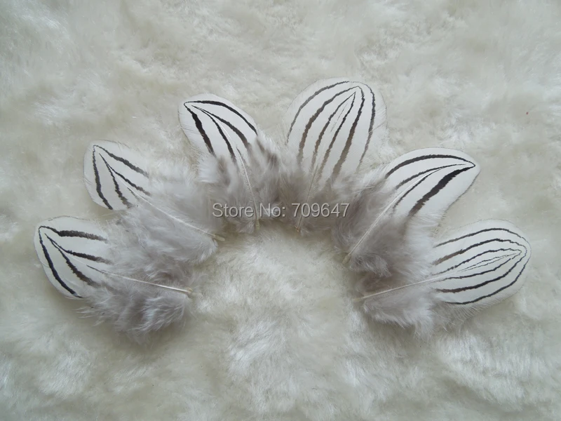 500Pcs/Lot!4-5cm Small Plumas,SILVER PHEASANT BODY PLUMAGE FEATHERS,Loose Plume for Milliners,Fascinators&Fly Tie Fisherman