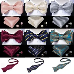 Pajarita de seda para hombre, conjunto de lazo de Cachemira a rayas rojas, rosas y azules para fiesta de boda, a la moda