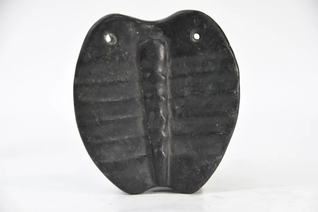 Hongshan culture meteorite iron Xizang meteorite tortoise shell