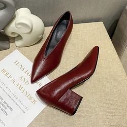 2025 Spring Autumn HIgh Heel Shoes Elegant Chunky High Heeeled Pumps Sexy Pointed Toe Evening Shoes Women Shoes V Cut Shoes c324