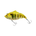 Ghost Gill
