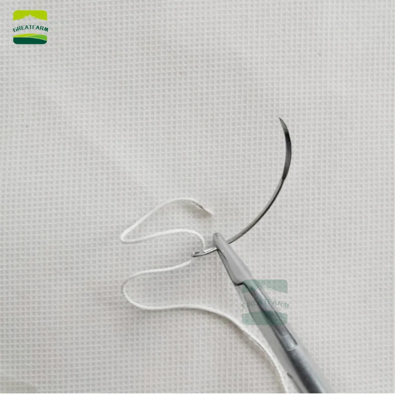 Veterinary medical suture needle Suture Surgical suture needle Veterinary instrument Pig cattle sheep pet Curved needle External