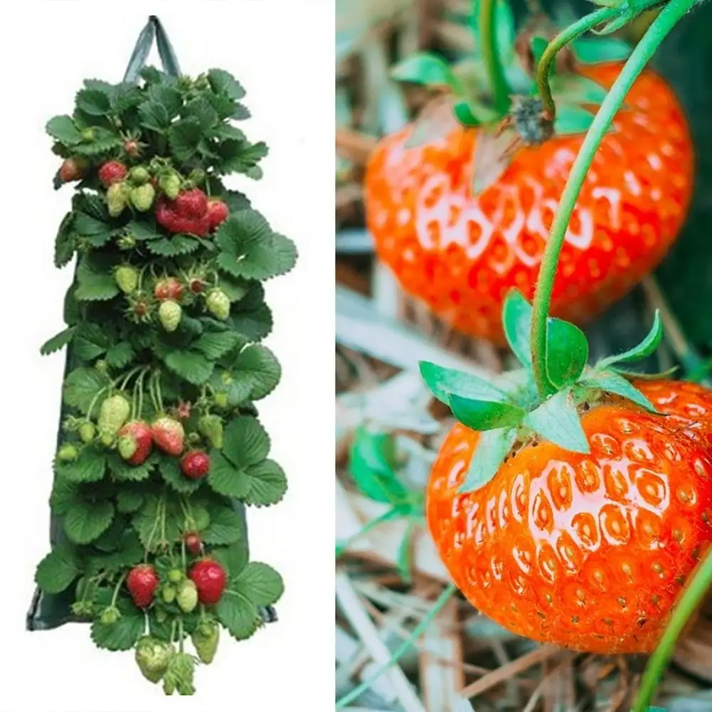 Hanging Strawberry Seeds Planting Grow Bags With Handles Thicken Vegetable Potato Greenhouse Container Bag Garden Pot Storage