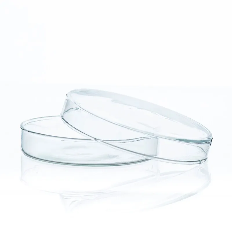 1lot/5Pcs  100mm Petri Bacterial Culture Dish Borosilicate 3.3 Glass Laboratory   For Chemistry Laboratory Bacterial Yeast