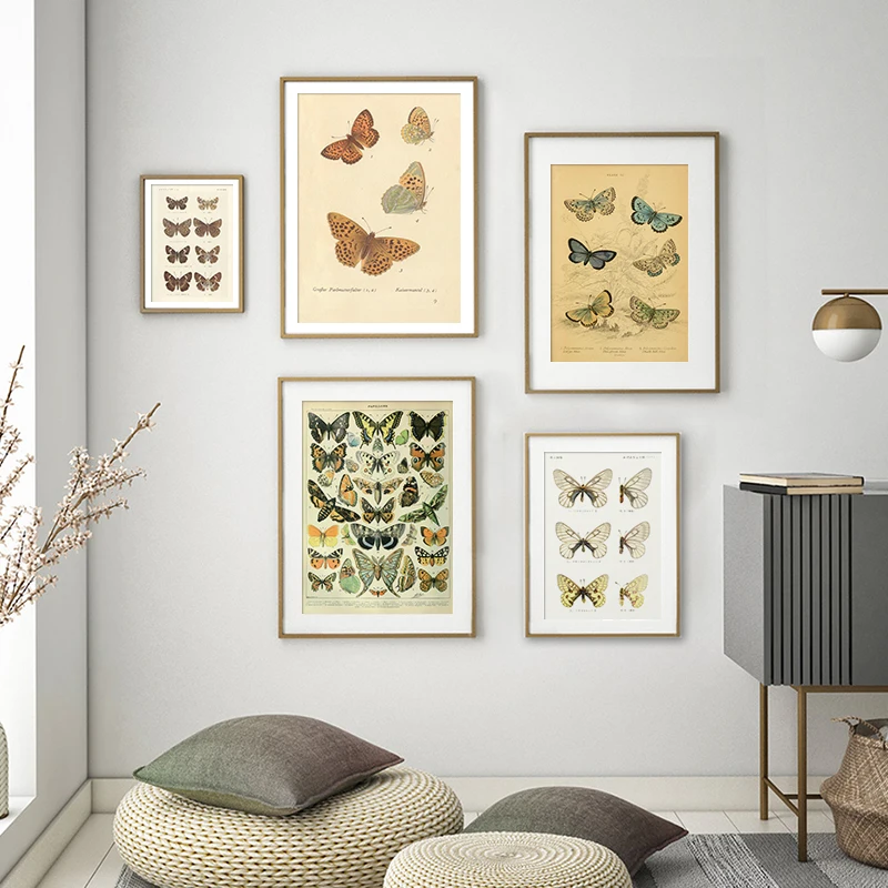 Butterfly Insect Vintage Poster Papillons Print Canvas Painting Biology Education Wall Art Picture Modern Study Room Decoration