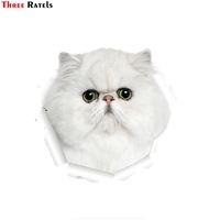 Three Ratels QM-10 Cute 3D Persian Cat 3d Car Sticker Dog 3d Car Stickers And Decals