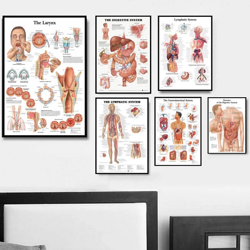 Anatomical Chart Human Body Anatomy Medical Chart Health Poster And Prints Painting Art Wall Pictures For Living Room Home Decor