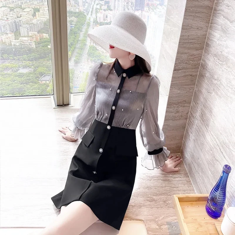 

Long-Sleeved A-Line Women's Autumn/Winter Long Black Organza Dress Stitching Female