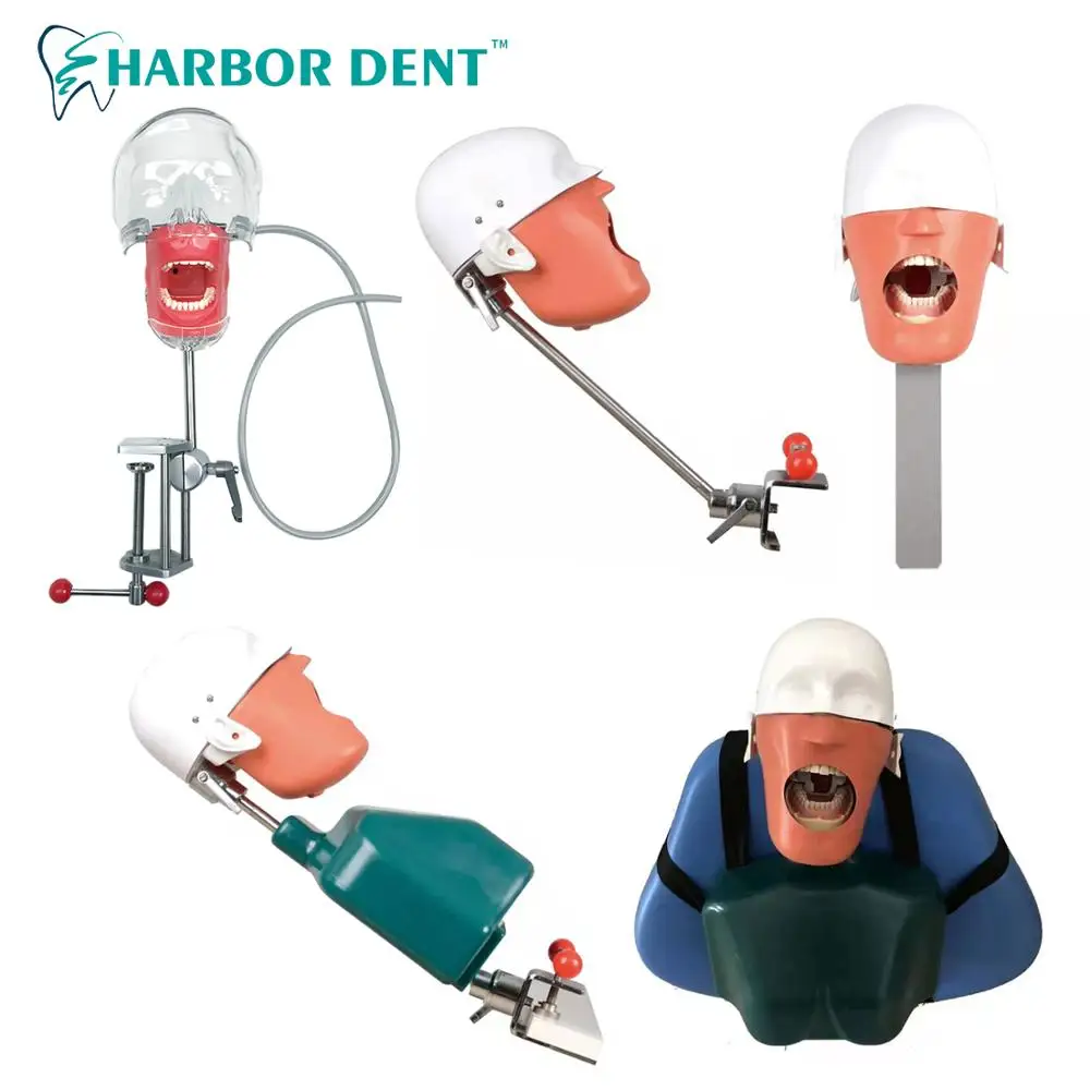 Dental Phantom Head Simulator Manikin Model for Dentist Education Training With New Style Bench Mount on Dental Chair