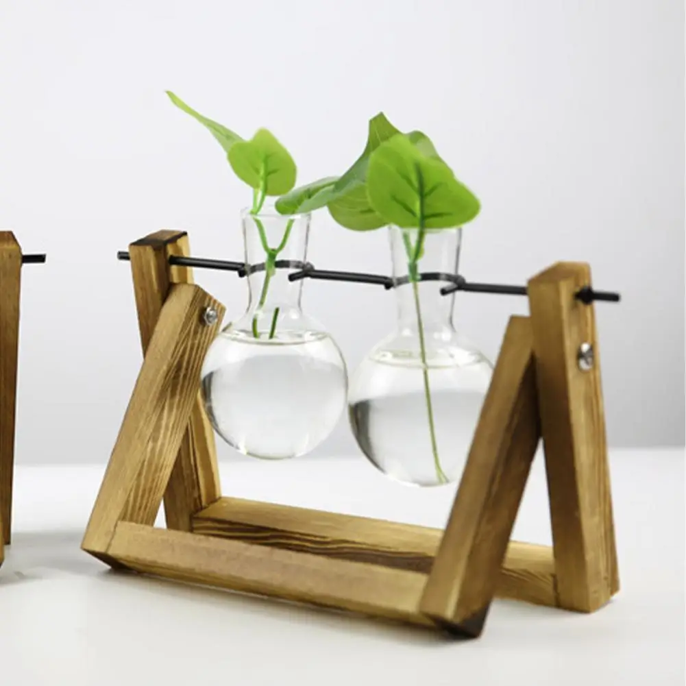 Plant Terrarium Plants Live Houseplants Office Desk Accessories Desktop Glass Plants Bulb Terrarium With Retro Solid Wooden Stan