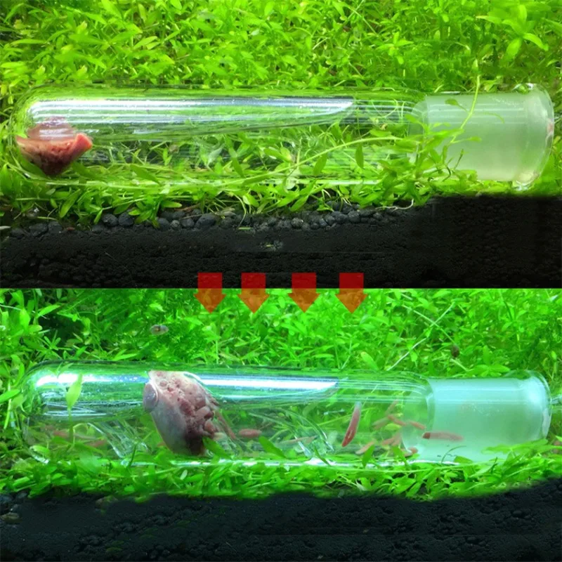 Aquarium Cleaner Tool Snail Trap Transparent Leech Pest Catch Pen Red Bee Shrimp Worm Bait Feeding Box