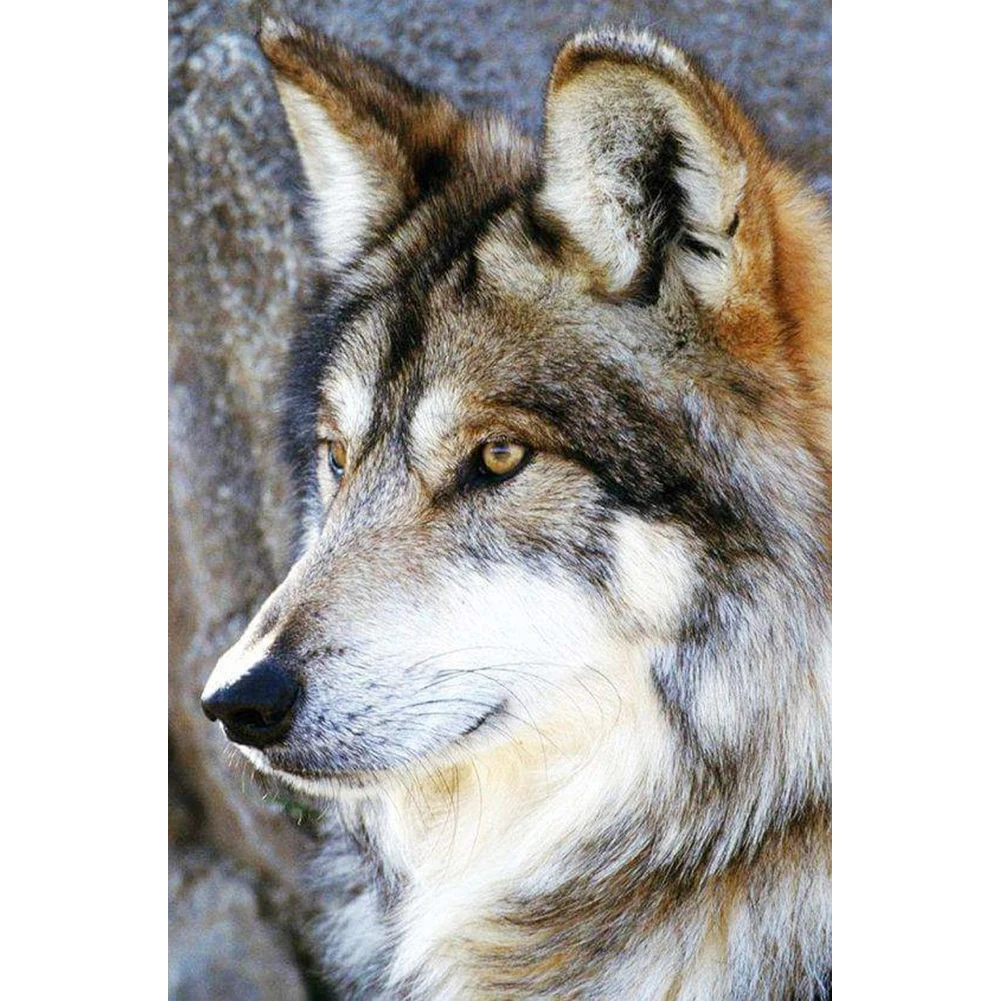 DIY 5D Diamond Painting,Diamond Art Mosaic Husky avatar Kits Diamond Painting Crystal Handicraft Wall Arts for Home Wall Decor