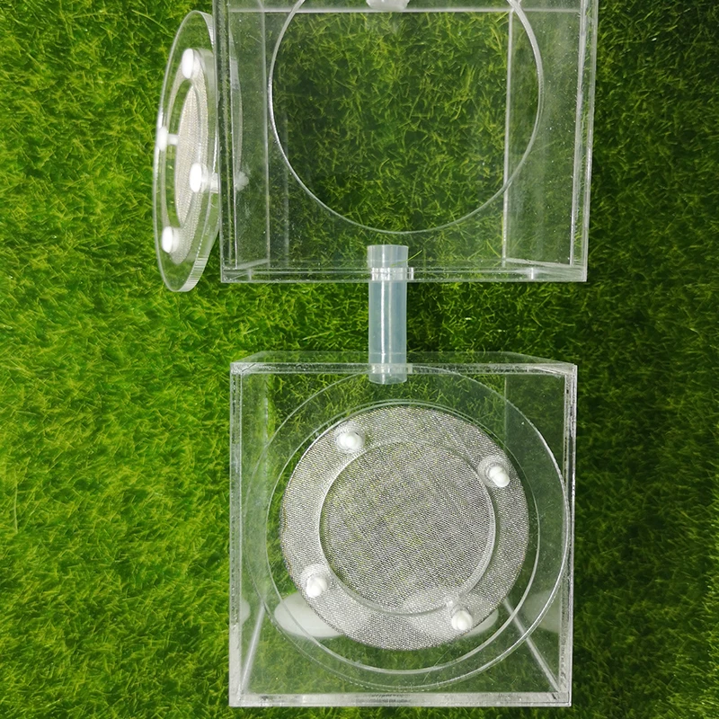 Square Ant Nest Transparent Activity Area Acrylic Ant Farm Climbing Pet Feeding Box 7x7x7 cm