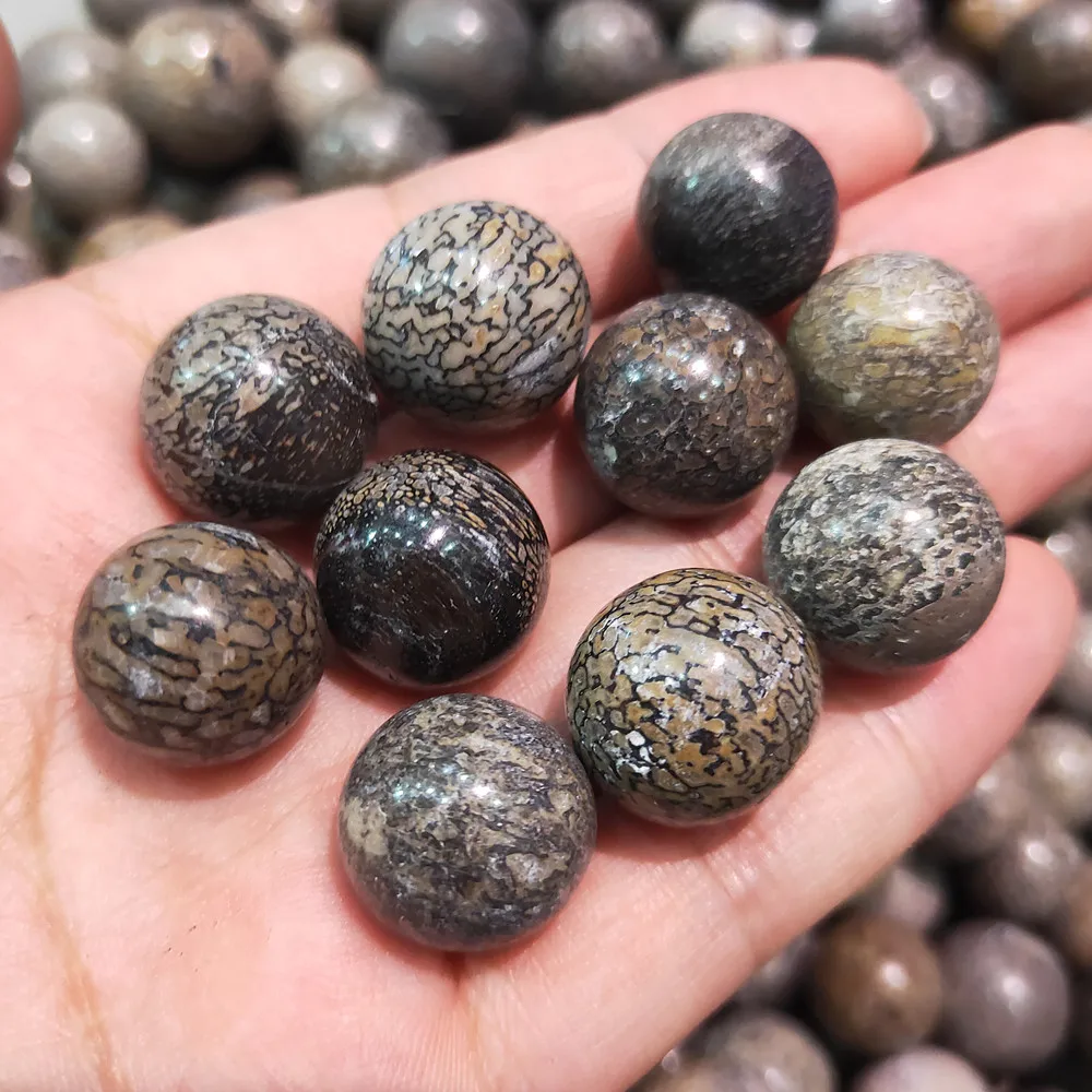 10 pcs Natural dinosaur bone quartz balls crystal ball gemstone sphere home decor healing