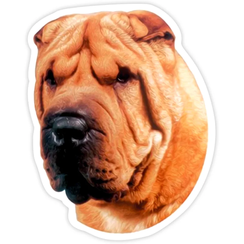 

S40288# Various Sizes PVC Decal Shar Pei Dog Car Sticker Waterproof on Bumper Rear Window Laptop Refrigerator Toilet