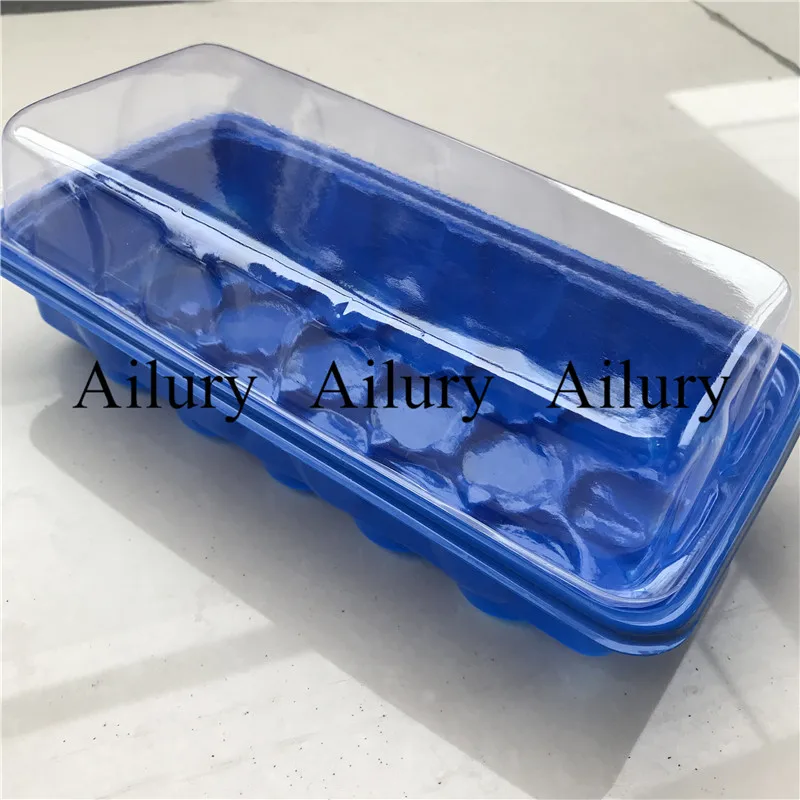 2 Set,Hight Quality Nursery Box With Transparent Cover,15 Hole Pots Seedling Tray,Garden Supplies.Container