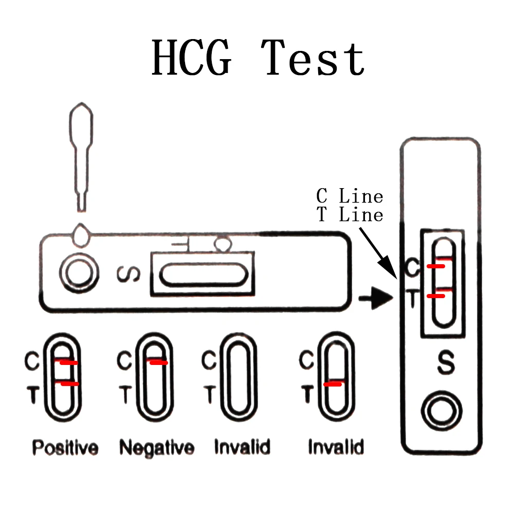 شرائط اختبار الحمل المبكر للنساء ، سرعة النساء HCG ، عدة قياس البول ، الدقة ، 5 *