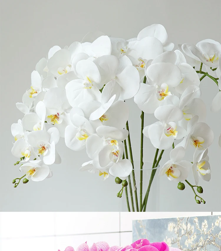 Konservierte Orchidee Phalaenopsis Strukturierte realistische Blumen Künstliche Blumen Familie Hochzeit Ornamente DIY Dekoration – Detail 4