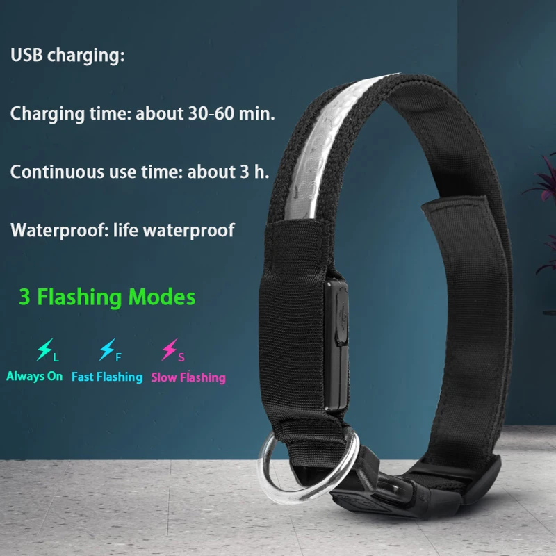 Dog Collar ID Personalized Usb Charging LED Pets Dog Tag Collar Light Engraved Id Custom Puppy Cat Nameplate Nylon Accessories