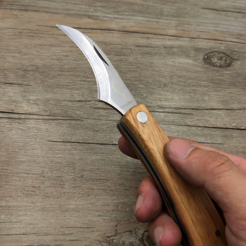 Dropship Mini Portable Multi-Function Rosewood Handle Collecting Folding  Mushroom Knife Camping With Brush Tool