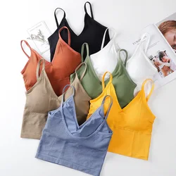 Reggiseno da donna Top tubolari Top corto senza cuciture intimo sportivo corto estivo Streetwear Fitness Top Bandeau Cami cuscinetti rimovibili